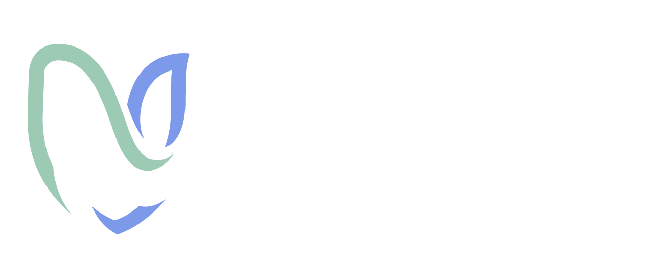 Novyx Logo